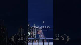 #allah #deenoverdunya #islamicvideo #quranrecitation #quran #muslim #islam