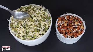 EVS ACTIVITY | GRADE I | HOW TO GROW SPROUTS TO MAKE SPROUTS SALAD AT HOME
