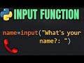 Python input() Function: Master Interactive Programs & Type Casting (Beginner)