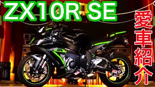 【納車】ZX10R SE車両紹介