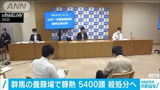 群馬・高崎市の養豚場で豚熱　全5400頭を殺処分へ(2020年9月27日)