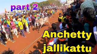 anchetty jallikattu 2025 /hori habba jallikattu