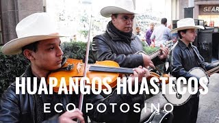 Huapangos Huastecos por el Trio Eco Potosino