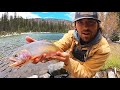 SOLO CAMPING ADVENTURE for WILD CUTTHROAT TROUT!! (Catch, Cook, Camp)