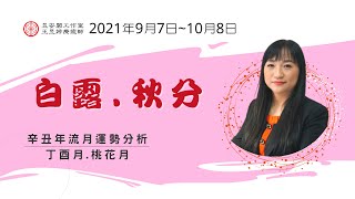 9/7-10/8 運勢分析-1 節氣養生【丁酉月桃花月】 2021年流月EP13 | 王昱婷療癒師