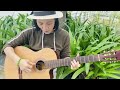 tình lỡ trang nguyễn guitar cover