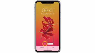 How to change the wallpaper on your Apple iPhone X