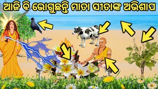 ମାତା ସିତାଙ୍କ ଅଭିଶାପ, ଯାହା ଆଜି ବି ଭୋଗୁଛନ୍ତି ଏହି ପାଞ୍ଚଜଣ II curse of mata Sita II Ramayan Story.