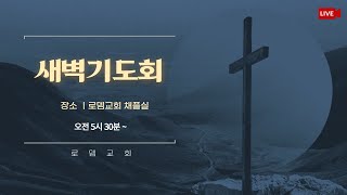 [25.2.8. 토] 로뎀교회 새벽예배