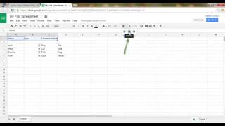 Google Sheets - Tutorial 01 - Creating and Basic Formatting