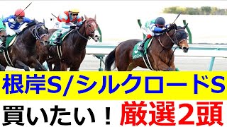 2023根岸ステークス＆シルクロードステークスで買いたい穴馬2頭【競馬予想】