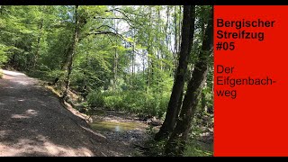 Wanderung auf dem Bergischen Streifzug #5 - Eifgenbachweg