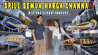 SPILL SEMUA HARGA CHANNA DI STORE JEROFISHHOUSE‼️