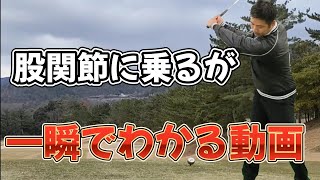 股関節に乗るが一瞬でわかる動画