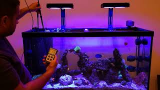 Nicrew 100w PAR test on a 90 gallon. Saltwater Reef Tank Light