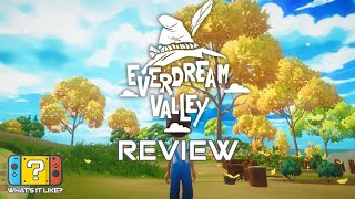 Everdream Valley Switch Review