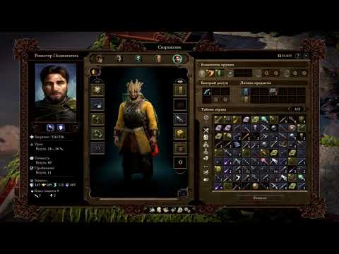 Pillars of Eternity II Deadfire Гайд Blade Runner Авантюрист Паладин сложность Путь проклятых