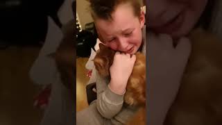 Boy Reunites with Lost Cat After Seven Months - 1017588