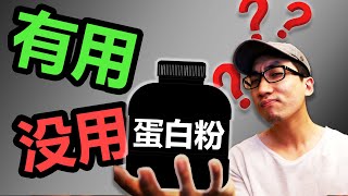 喝蛋白粉到底有没有用？【1篇科学研究】【健身补剂】【科学解析】