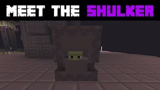 Meet The Shulker (Minecraft 1.9 Documentary)