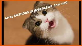 JavaScript Array Methods: .length(), .splice(), sort(), new Set() made easy!