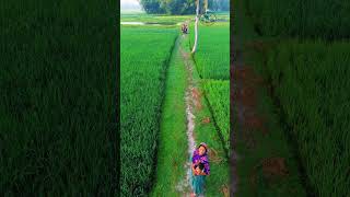 গ্রামের সকাল #গ্রাম #সকাল #প্রকৃতি #dronevideo #youtubeshorts