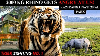 2000 Kg Rhino Gets Angry! Tiger Sighting 1 | Kaziranga Assam | #wildlife