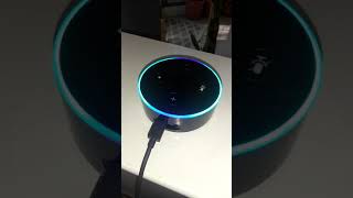 Alexa in an infinite loop