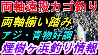 08-04　煙樹ヶ浜釣り情報・実釣編