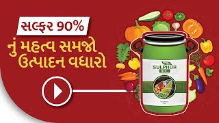 એક્સપર્ટ જ્ઞાન 🔥સલ્ફર 90% કેમ છે ખેતીમાં જરૂરી ? સલ્ફર 1 કામ અનેક👌AgroStar sulphur 90%