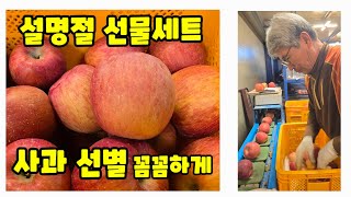 사과 선물세트 설 명절 가을농원 사과선별 과정 사과 꼭지따기 사과 자동선별