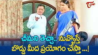 చీమని తెచ్చా నువ్వొస్తే బొడ్డు మీద ప్రయోగం చేస్తా  | MS Narayana Comedy | Telugu Comedy | NavvulaTV