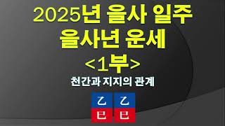 2025년 을사 일주 을사년 운세 1부