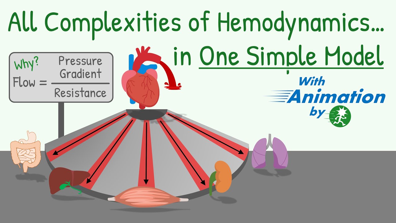 Blood Pressure, Blood Flow, Resistance And Their Relationship ...