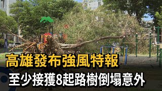 高雄發布強風特報 至少8起路樹塌、砸中騎士－民視新聞