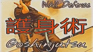 Bujinkan Makoto Dojo Goshinjutsu (Self Defense) Against a wall