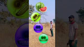 Rounding coconut to Grapes, Mango, lichi \u0026 Watermelon - Fruits names magic video