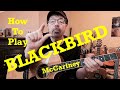 How To Play BLACKBIRD 'like McCartney' (Plus Free Charts!)