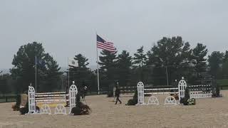 2018 - Quintessence - 1st place $35k 7 year old young jumper finals