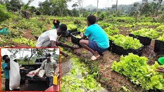 Gia đình bạn Leu vui Mừng bán được giá nông sản || Tony Phong cuộc sống Châu Phi