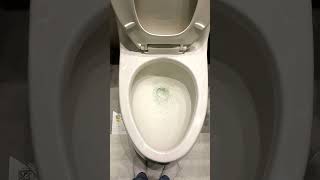 bye-bye toilet (part 4)