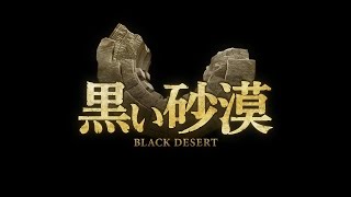 【黒い砂漠 Black Desert】ひよこもち(連盟) 拠点戦2022/01/16 メディア北部関所