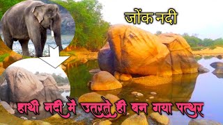 जोंक नदी।। हाथी बना पत्थर।। गिरौदपुरी धाम।। jonk nadi giraudhpuri daham. hathi ban gaya pathhar.