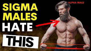 8 Alpha Male Behaviours The Sigma Male Absolutely Hates