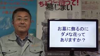 静岡 墓石 伊豆 お墓に飾るのにダメな花ってありますか？