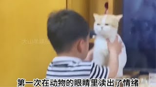 164. 第一次在动物的眼睛里读出了情绪，猫咪的沉默震耳欲聋