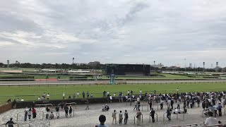 2019年9月28日　中山競馬場9R ライブ