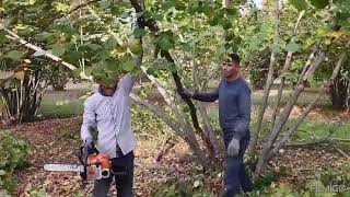 Hər fındıq budağı bir ağacdır 🌳, bu davranış üsulu vacib şərtdir.