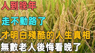 人到晚年，走不動路了，才會明白三個殘酷的人生真相，無數老人後悔看晚了｜聆聽心語