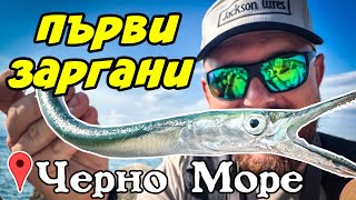 ЗАРГАНА ТРЪГНА НА ЧЕРНО МОРЕ! Риболов на ЗАРГАН С ДЖИГ.